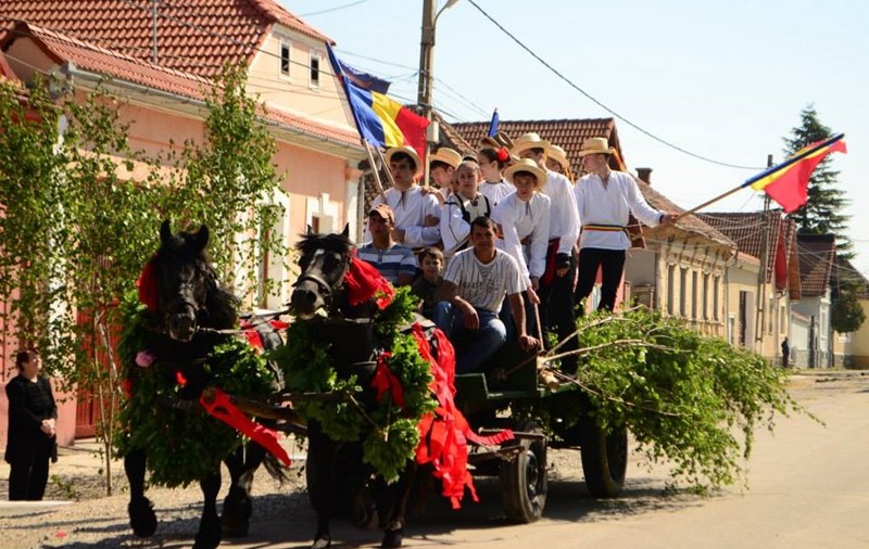 1 Mai - Sărbătoarea de Armindeni. Tradiții populare românești, de "ziua pelinului" sau "ziua bețivilor"