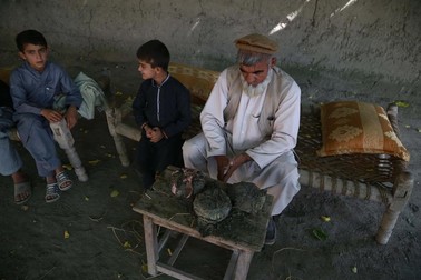 Fermierii extrag opiu din muguri de mac, în districtul Khogiyani din provincia Nangarhar. SUA, guvernul afgan și comunitatea internațională au cheltuit peste 9 miliarde de dolari pentru a pune capăt cultivării opiului