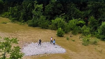 Cei trei au fost surprinși de o viitură pe râul Natisone. Foto Captură video