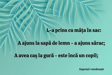 Zicale