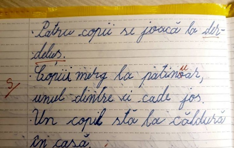 Învățătorul din Iași care a corectat forma corectă a cuvântului ”patinoar” a fost găsit ”vinovat” de conducerea școlii