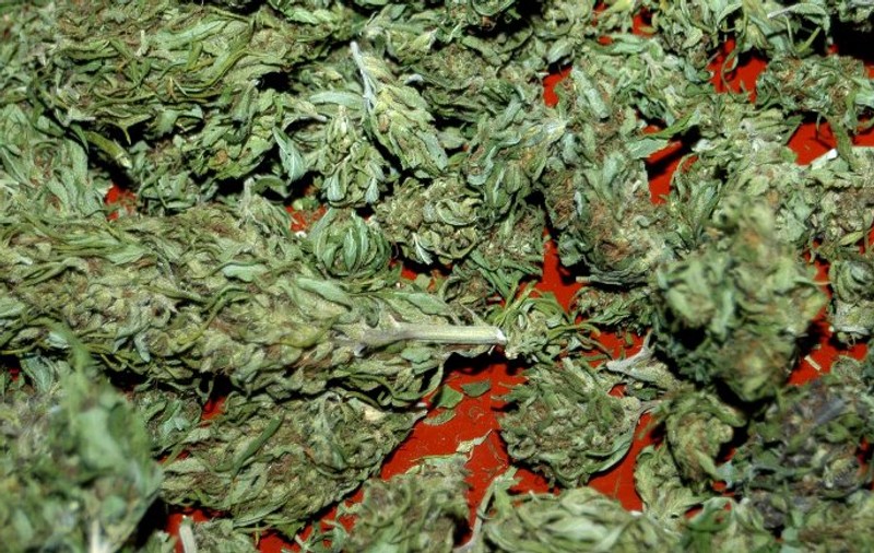 Marijuana îţi menţine creierul tânăr