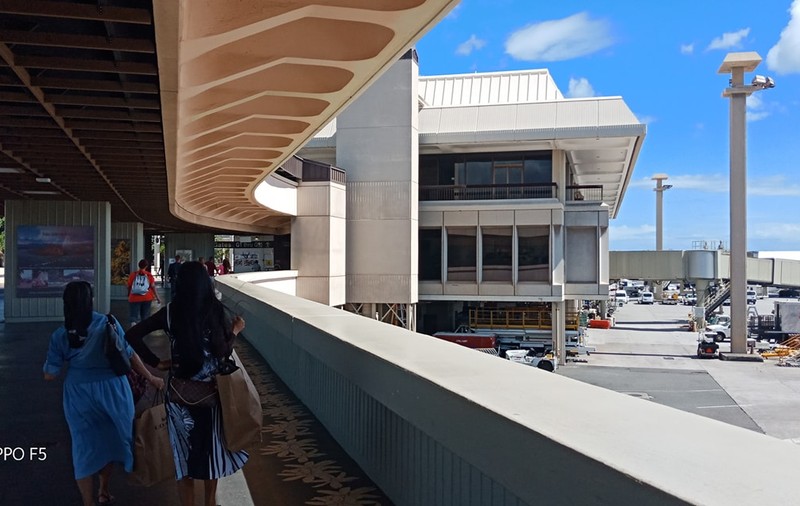 Aeroportul din Honolulu, paralizat de ploșnițe de aproape două săptămâni