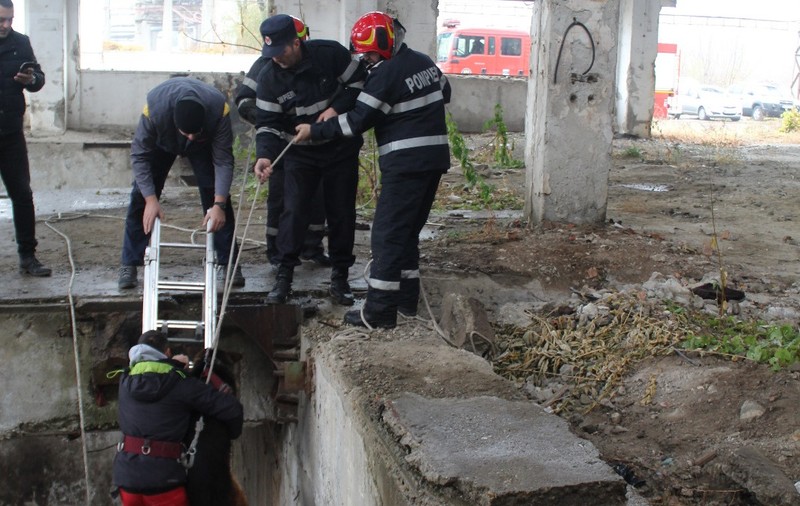 VIDEO&FOTO/ Ciobănesc german salvat după o săptămână de pompierii vrânceni dintr-un bazin adânc de 8 metri. Bobiță a lătrat disperat zi și noapte până a fost auzit