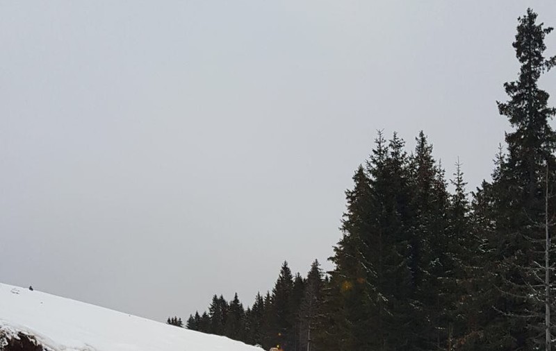 UPDATE: Turiștii blocați pe Vârful lui Roman, județul Vâlcea, din cauza viscolului, salvați de jandarmi