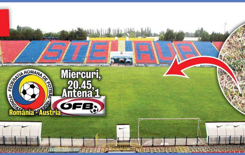 Ăsta-i gazon?!