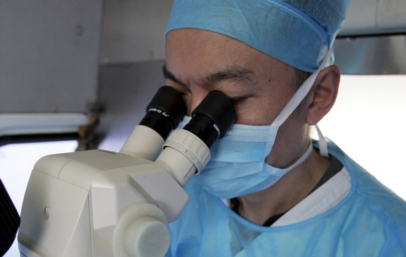 Cercetătorii au creat o păpuşă din celule canceroase