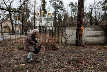 O femeie în vârstă strânge lemne de foc pentru a-și încălzi casa din Bucha, nord-vest de Kiev, pe 2 aprilie 2022, unde primarul orașului a declarat că 280 de persoane au fost îngropate într-o groapă comună și că orașul este plin de cadavre. Foto: Profimedia