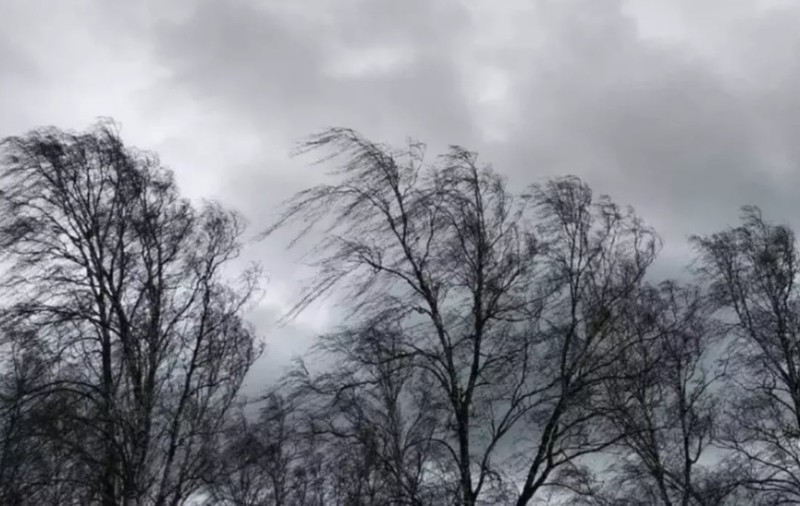 Alertă meteo de vânt puternic, cu rafale de 65 km/h. Harta zonelor vizate de cod galben