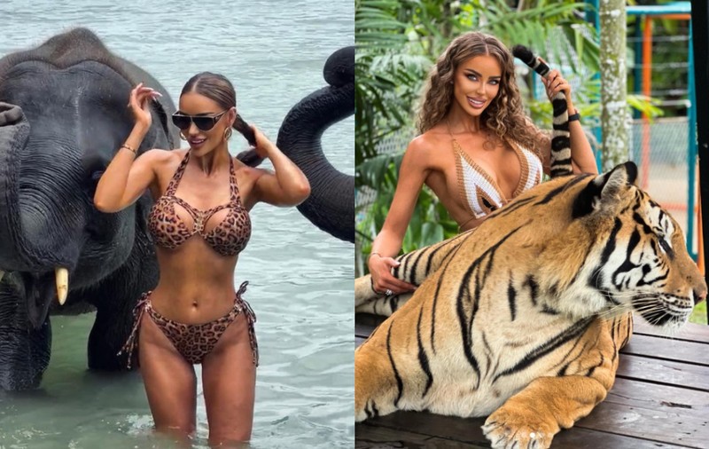 Bianca Drăgușanu, printre tigri și elefanți în vacanța de lux din Thailanda. Nu e singură, ci cu Gabi Bădălău