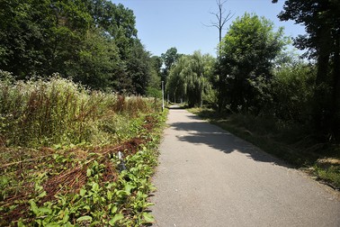 Parcul Bordei