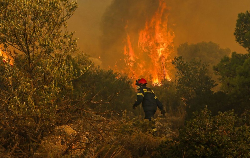 Incendiu masiv de pădure, la 20 de kilometri nord de Atena. Flăcările sunt alimentate de vântul puternic