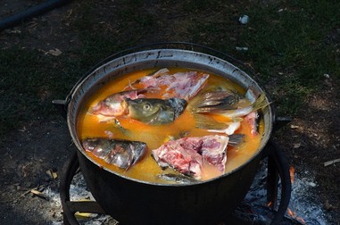 Arhiva foto