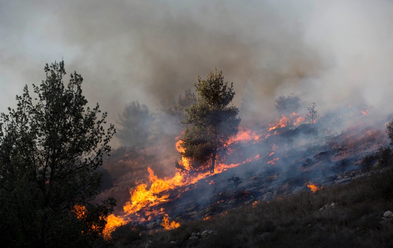 Israelul a cerut Greciei și Croației avioane pentru stingerea incendiilor