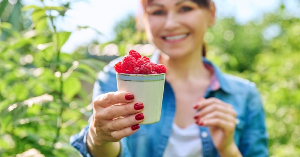 Cum te ajută zmeura să slăbeşti - Foto Shutterstock