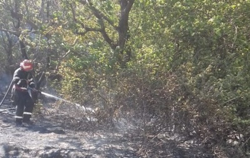 Un bărbat din Tulcea a scăpat de sub control un incendiu de curățare a vegetației. A fost transportat la spital cu arsuri grave
