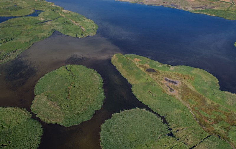Schimbările climatice, confirmate de înmulțirea unor specii noi de păsări, în zona Dobrogei