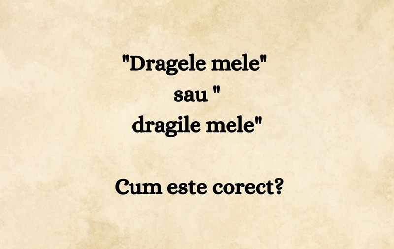 Dragele mele sau dragile mele. Cum este corect
