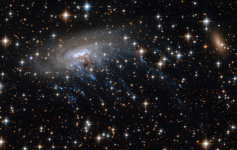 Astronomii au găsit o „galaxie-meduză”, veche de 8,5 miliarde de ani