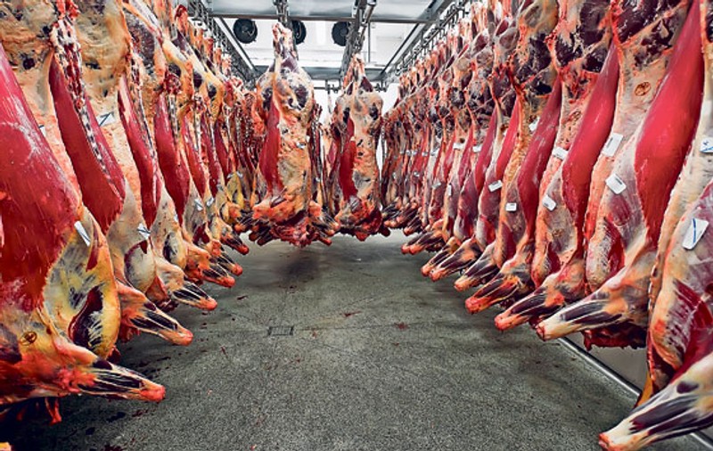 Scandalos! Englezii au recunoscut că abatoarele lor au vândut carnea de cal, în loc de vită. Producătorii români vor să ceară despăgubiri