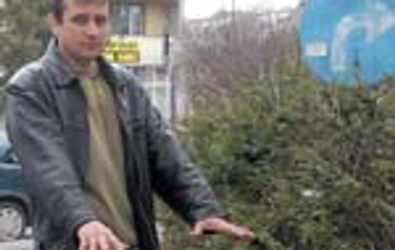 'Andreea a fost luata de cineva!'