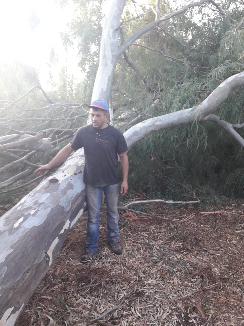 Claudiu lucrează de 15 ani într-o fabrică de cherestea în Sardinia, Italia