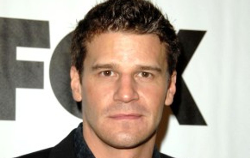 David Boreanaz se teme de puii de găină 