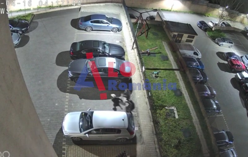 Tineri din Iași, filmați când vânează doi pui de căprioară pe străzile din oraș I VIDEO