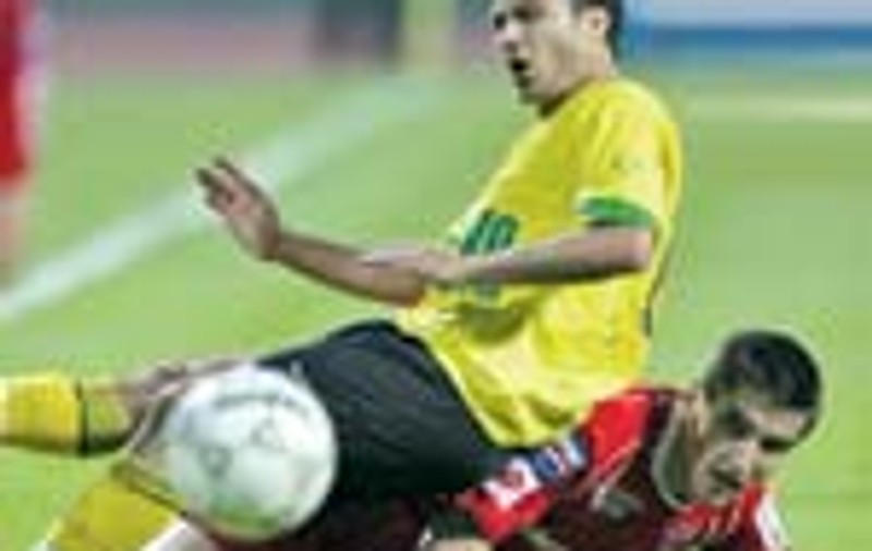 Decaderea 'cainilor'!