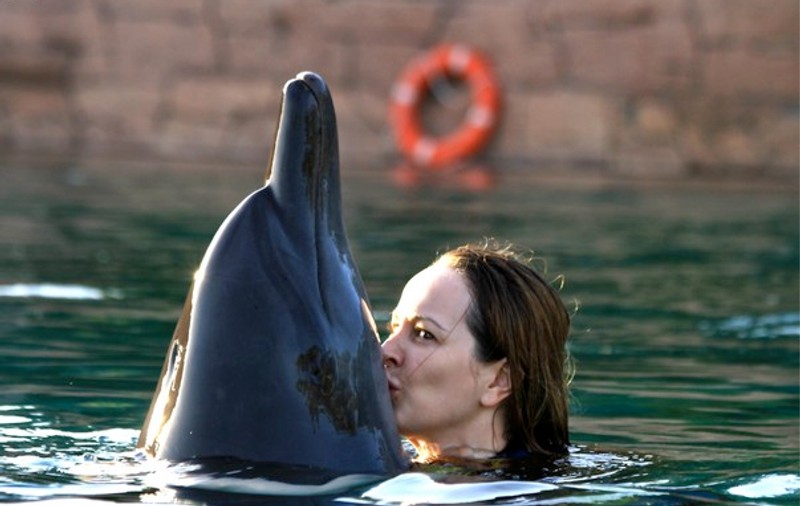 Delia Antal a pupat delfinii, în vacanța din Dubai