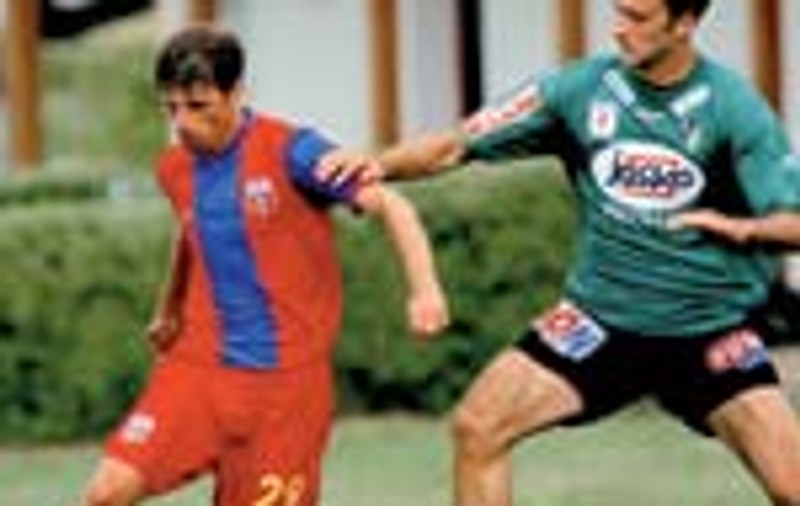 'Borcea, actionar de doi lei'