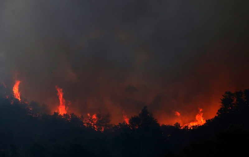 Argentina se confruntă cu incendii puternice de vegetație. „Sunt distruse cam 20.000 de hectare pe zi”