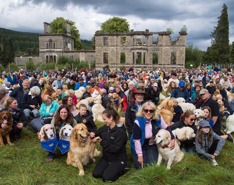 488 de câini Golden Retriever s-au întâlnit în Scoția. Au fost aduși din 12 țări pentru un eveniment special