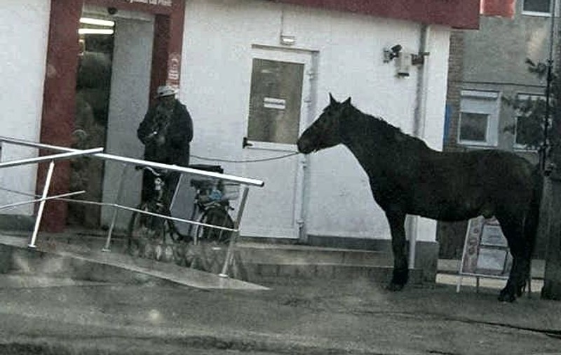 Cu calul la cumpărături, într-un cartier din Arad. Imaginea a devenit virală