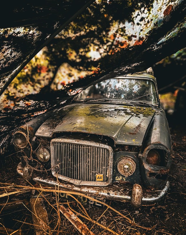 O britanică a descoperit 50 de mașini de epocă abandonate într-un hambar, în mijlocul unei păduri din Anglia