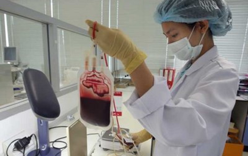 Diabetul ar putea fi tratat cu celule porcine