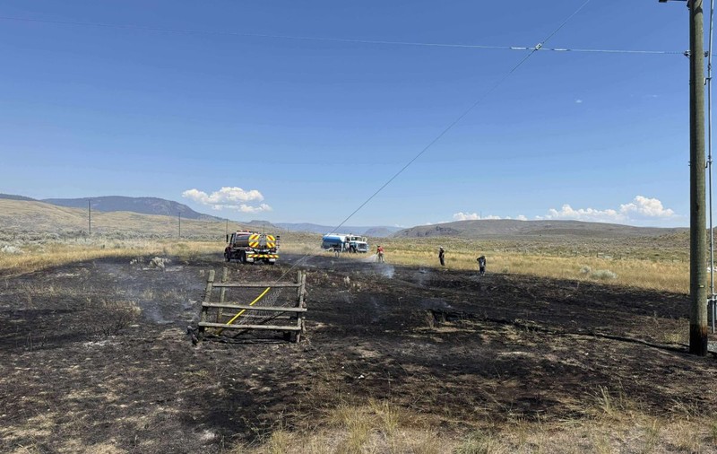 O pasăre de pradă a provocat un incendiu în Canada, după ce a scăpat din cioc un pește pe o linie de înaltă tensiune