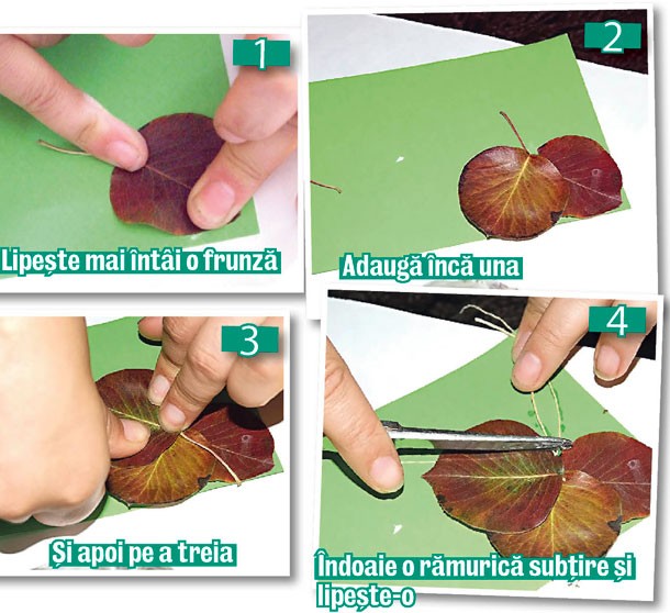 Arhiva foto