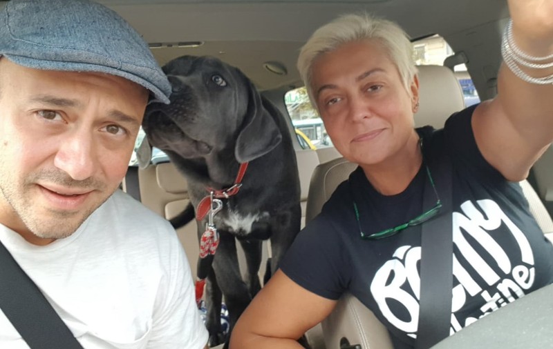 Monica Anghel are acasă șase căței, primiți cadou sau luați de pe stradă