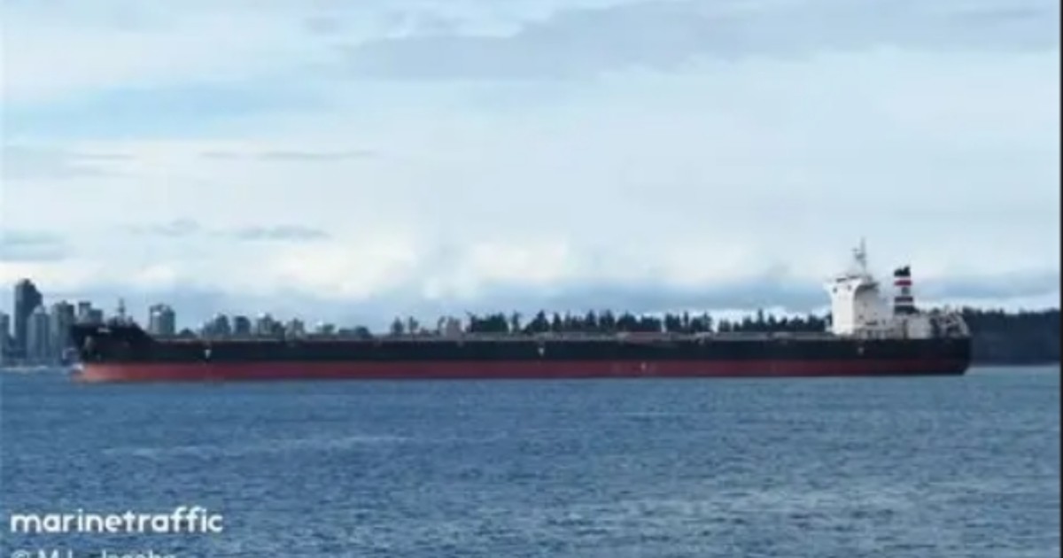 Un cargou german, atacat cu drone de Rusia în Marea Neagră. Sursă foto marinetraffic.com