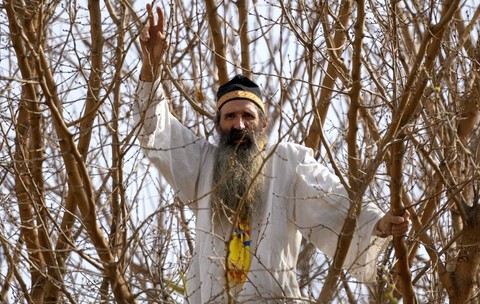 Protestatarul Cezar Avrămuță, cunoscut ca “Stegarul Dac”, într-un copac din curtea Arestului Central al Capitalei. Fotografie de arhivă: Hepta
