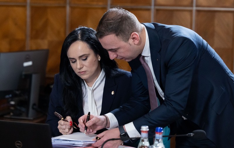 Ministerul Muncii anunţă platforma prin care persoanele fizice pot angaja şi plăti legal personal pentru activităţi casnice