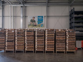 Depozitul fermei Höfler Gemüse, Nürnberg, Germania