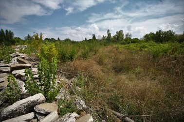 Arhiva foto