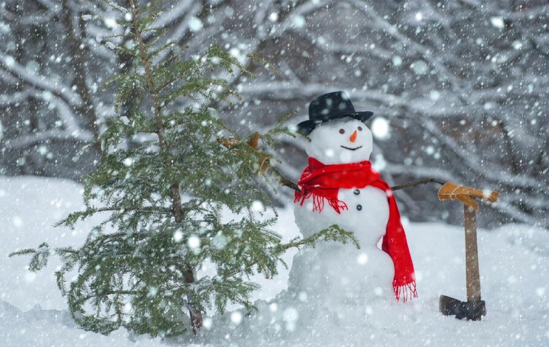 Cod galben de ninsori viscolite și polei, de Crăciun: București și alte 19 de județe sunt vizate de avertizarea meteo ANM. Stratul de zăpadă va ajunge până la 25cm