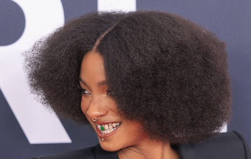 Fiica lui Will Smith, apariție controversată la Premiile Grammy. Willow, cu lenjeria la vedere pe covorul roșu