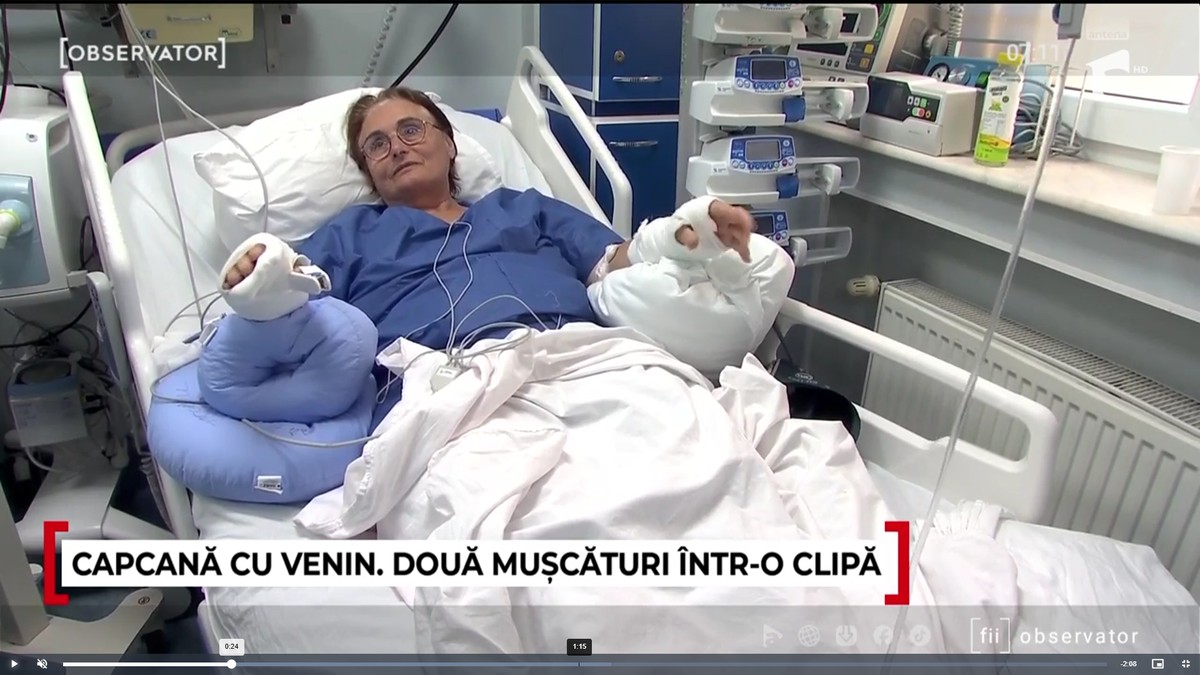 Smaranda a ajuns la spital după ce a vrut să salveze un șarpe „Am intrat pe ChatGPT să văd ce-i cu orătania”. Sursă foto: Captură foto Observator News.