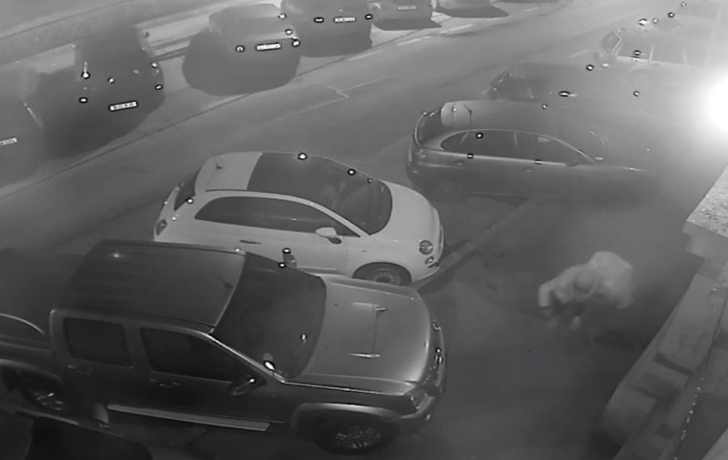 EXCLUSIV | Lovitură ca-n filme. Trei bărbați au coborât cu frânghii, de la etajul 5, un seif cu 100.000 de lei! (VIDEO)