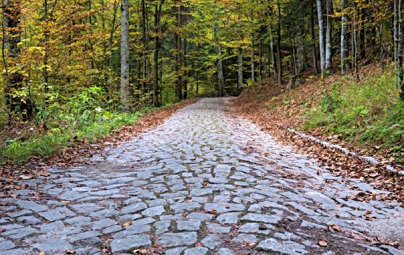 Poteca Regală din Sinaia - drumul de la Castelul Peleş la Poiana Stânii