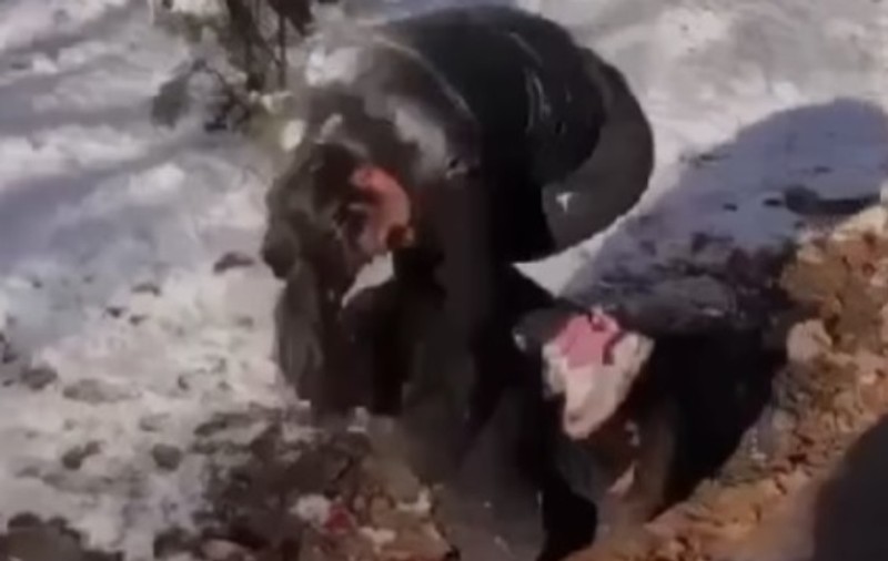 Mama unei adolescente, după ce fiica ei a fost agresată: „Vă rog să găsiţi această fată din Ploieşti care mi-a bătut fata”. Reacţia Poliţiei